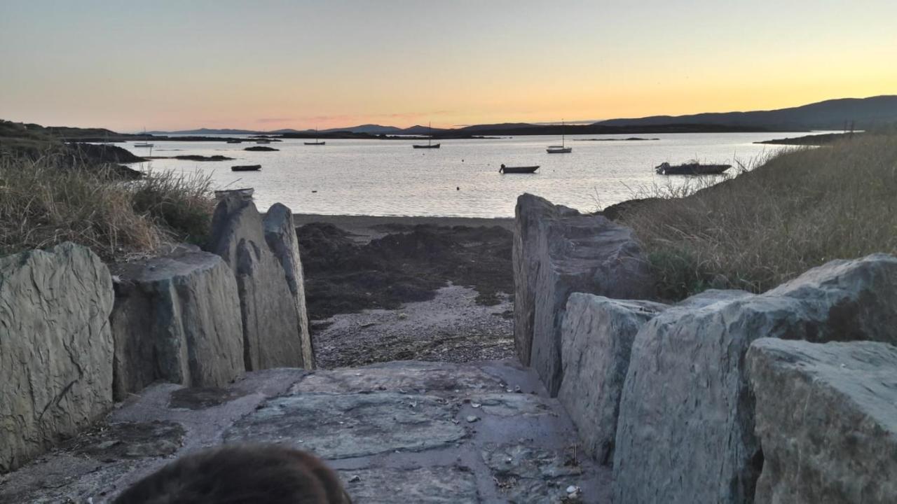 Bed and Breakfast Heir Island House Skibbereen Exterior foto